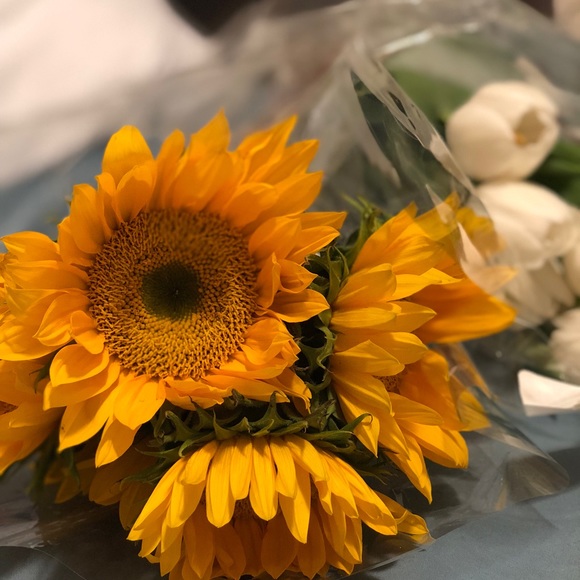 Meet your Posher, Jesh - Picture 5 of 6